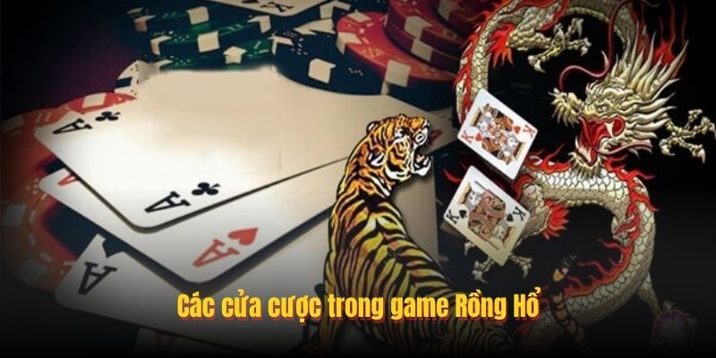 Rồng Hổ - Game Casino Hiện Đại Dễ Chơi, Dễ Thắng Nhất 3 Chia sẽ mẹo chơi rồng hổ online tại Go88