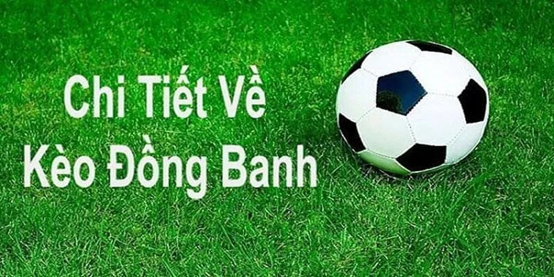 Giới thiệu về cách tham gia kèo đồng banh tại Go88